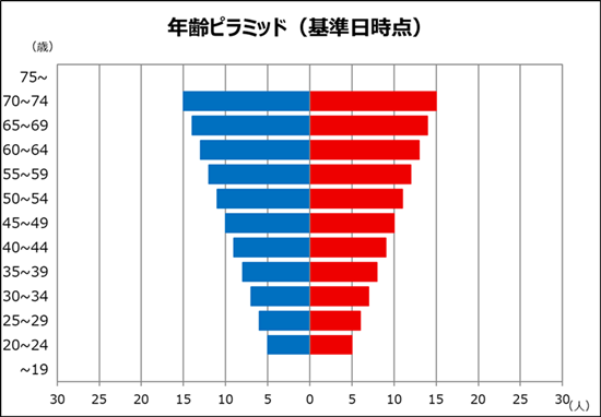 逆ピラミッド型（高齢化型）