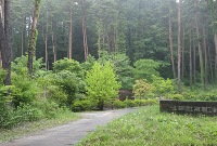 視察ツアー「松山油脂株式会社　(山梨県南都留郡富士河口湖町)」イメージ